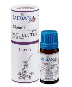 Larch - Larch 19 Bach flower for animals, 10 g